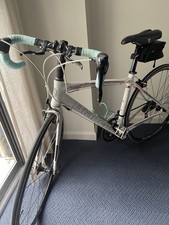 Bianchi Nirone 7 Dana Bianca