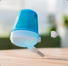 Beverino Uccelli a depressione