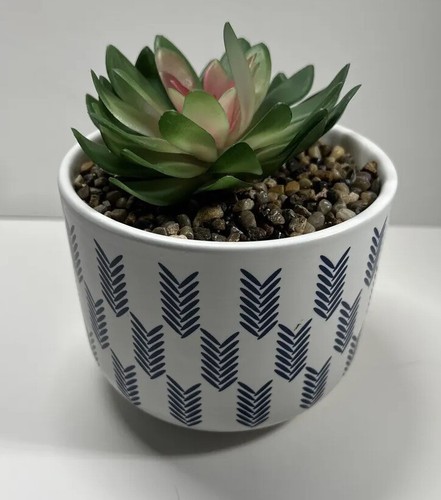 Pianta succulenta artificiale - succulenta,