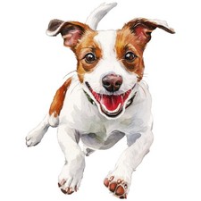 2 adesivi Jack Russell Terrier
