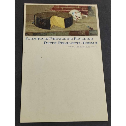 Cartolina parma ditta - parma,