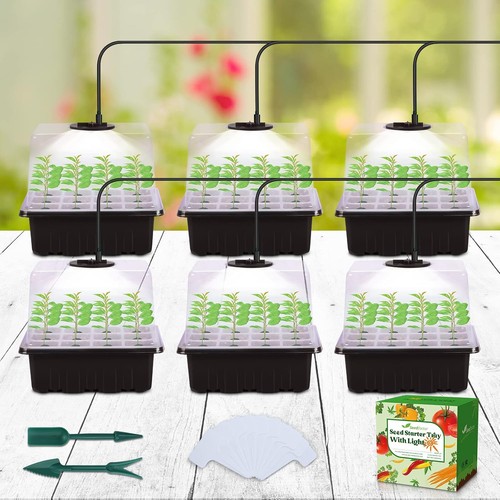 Vassoio avviamento semi 6pcs - avviamento,