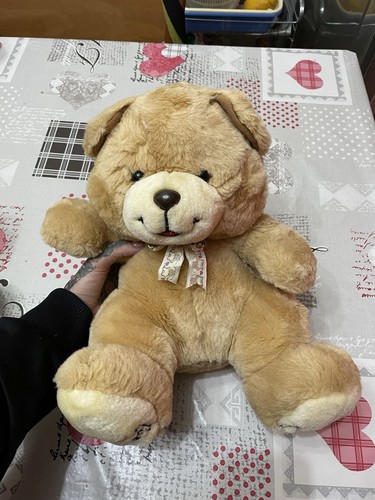 Orsetto peluche - orsetto,