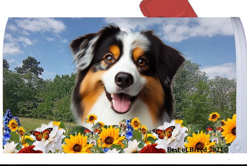 Copertina cassetta postale