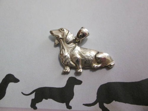 Cane bassotto dachshund - cane,