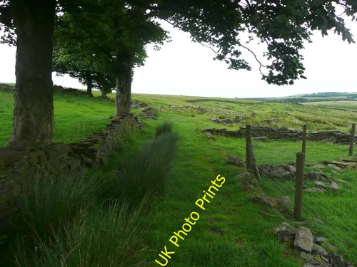 Photo 6x4 footpath - 6x4,