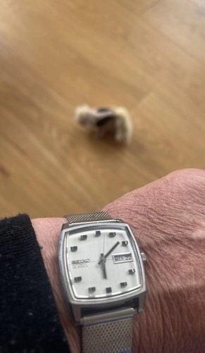 Orologio polso vintage - da,