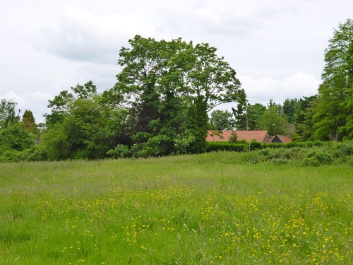 Photo 6x4 grassland - 6x4,