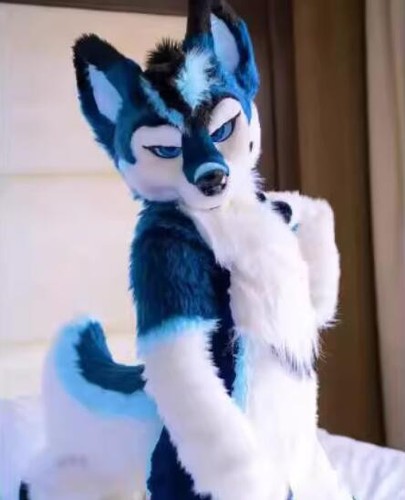 Costume lungo pelliccia husky