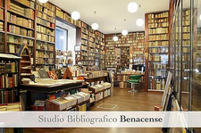 STUDIO BIBLIOGRAFICO SU DAVID