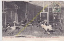 Cartolina Cocincina Saigon