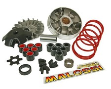 Variatore MALOSSI Overrange