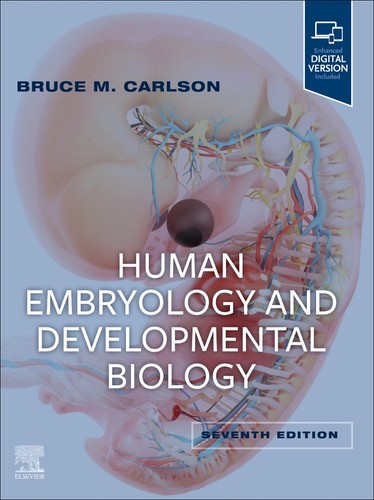 Human embryology and - human,