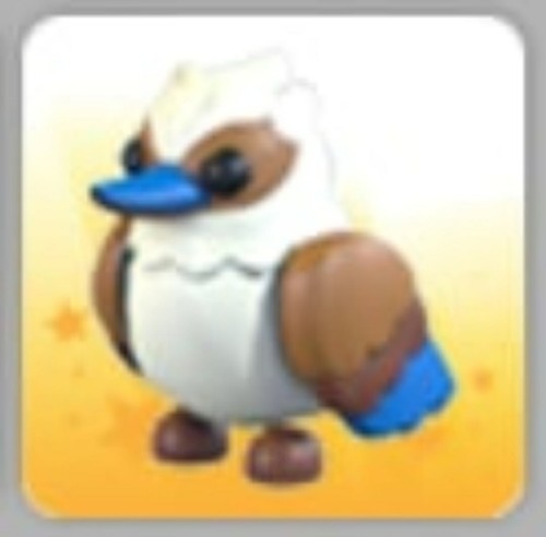 Kookaburra adotta ora - kookaburra,