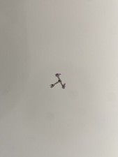 Rolex Originale Calibro