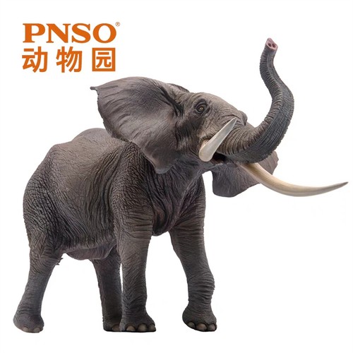 Pnso elefante savana africana - savana,