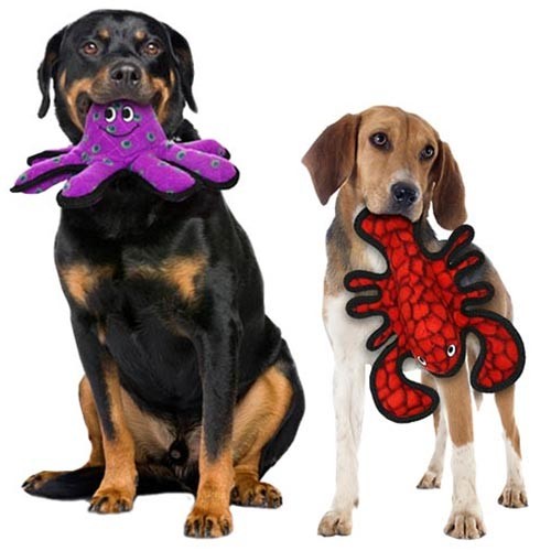 Gioco per cani interattivo
