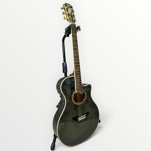Chitarra elettrica acustica