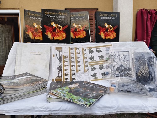 Signore degli anelli gioco - anelli,