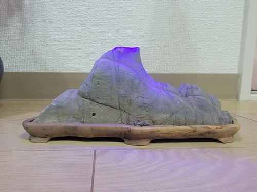 Suiseki bonseki bonsai - suiseki,