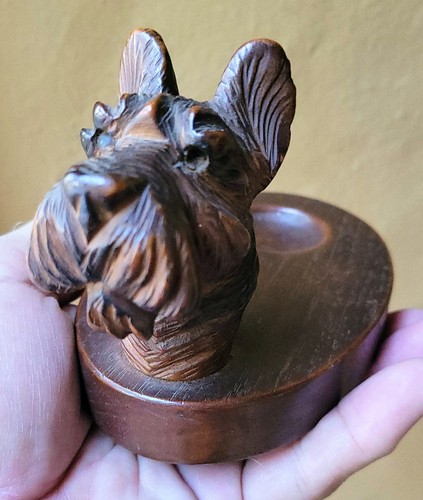 Antica testa cane scozzese - antica,
