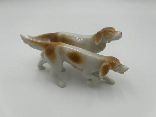 Coppia pointer setter cani - setter,