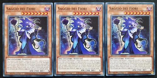 Playset carte saggio dei - saggio,