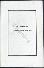 E. Sismonda - Il cavaliere