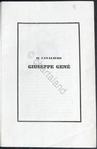 Sismonda il cavaliere - sismonda,