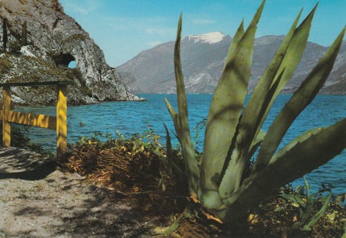 Cartolina postale lago di - postale,