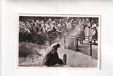 4345) MONACO - parco zoologico HELLABRUNN - tricheco MIMI schizza 1958!!