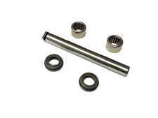 Perno sospensione forcella