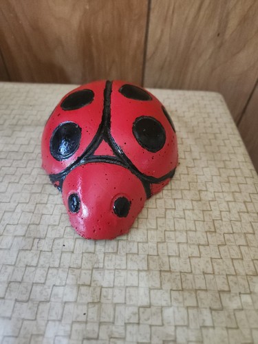 Nuova coccinella dipinta - , a
