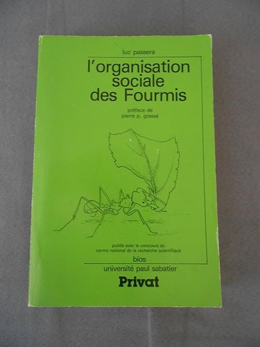 L'Organisation sociale des