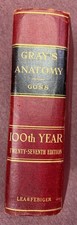 Gray's Anatomy 100th Year