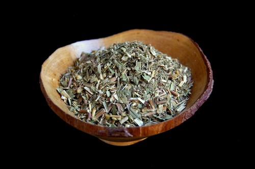 Erba verga oro - erba, wicca