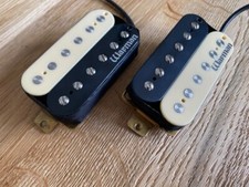 Zebre Warman. Look classico