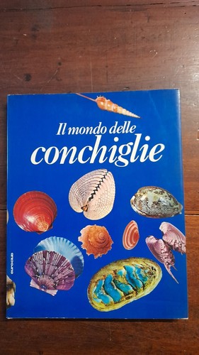 Mondo delle conchiglie - il,