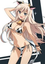 Strike Witches Hanna-Justina