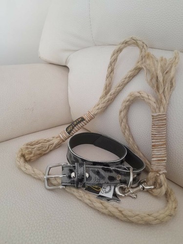 Set collare guinzaglio pelle - pelle, e