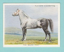 TYPES OF HORSES - JOHN PLAYER