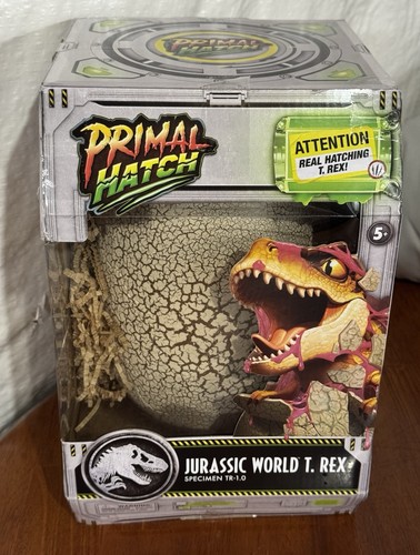 Nuova figura uovo dinosauro