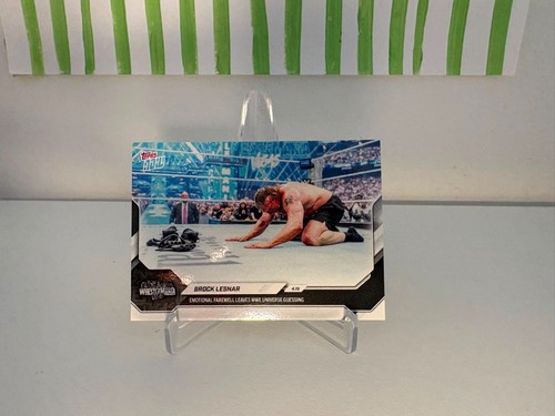 Brock lesnar wrestlemania - wrestlemania, 42