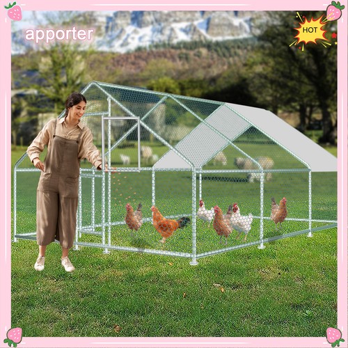 X10ft pollo corsa - x10ft,