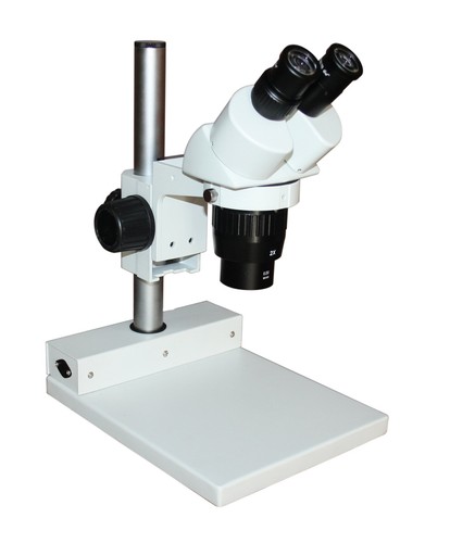 Microscopio elettronico stereo