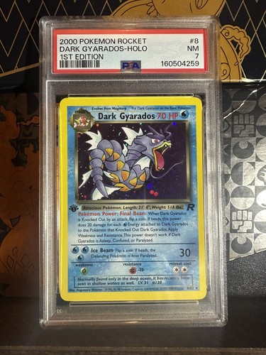 Pokemon rocket dark gyarados - pokemon,