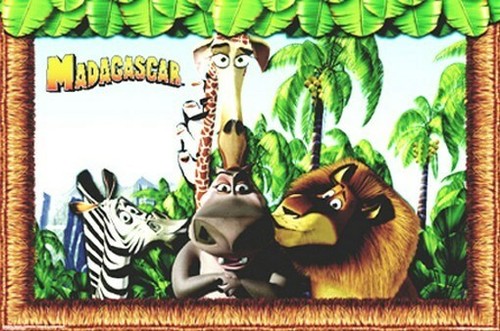 Madagascar leone zebra - madagascar,
