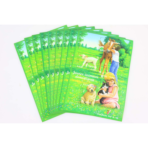 Lotto blocchi 96 - lotto,