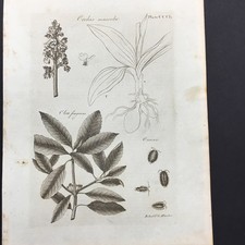 R. Scot & S. Wardice incisione