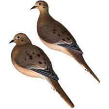 Avian X Axp Full Body Colomba